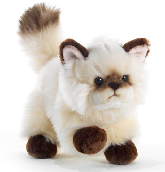 בובת פרווה חתול סיאמי צעצוע רך 21 ס"מ - צעצועים Plush.il8029956157059