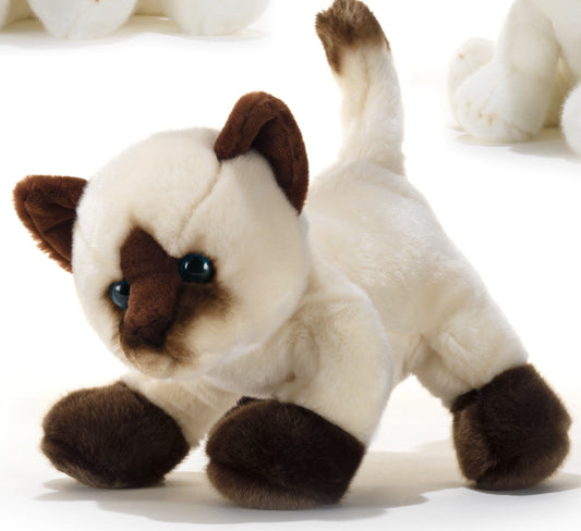 צעצוע בובת חתול סיאמי 26 ס"מ - צעצועים Plush.il 8029956158117